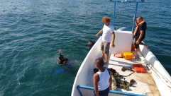 فيديو: تجدد عمليات البحث عن الشاب المفقود بمشاركة صيادي ميناء يافا